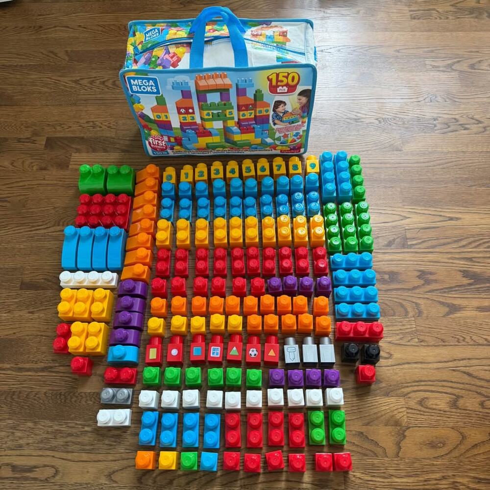 Mega Bloks 175 assorted pieces + carrying case